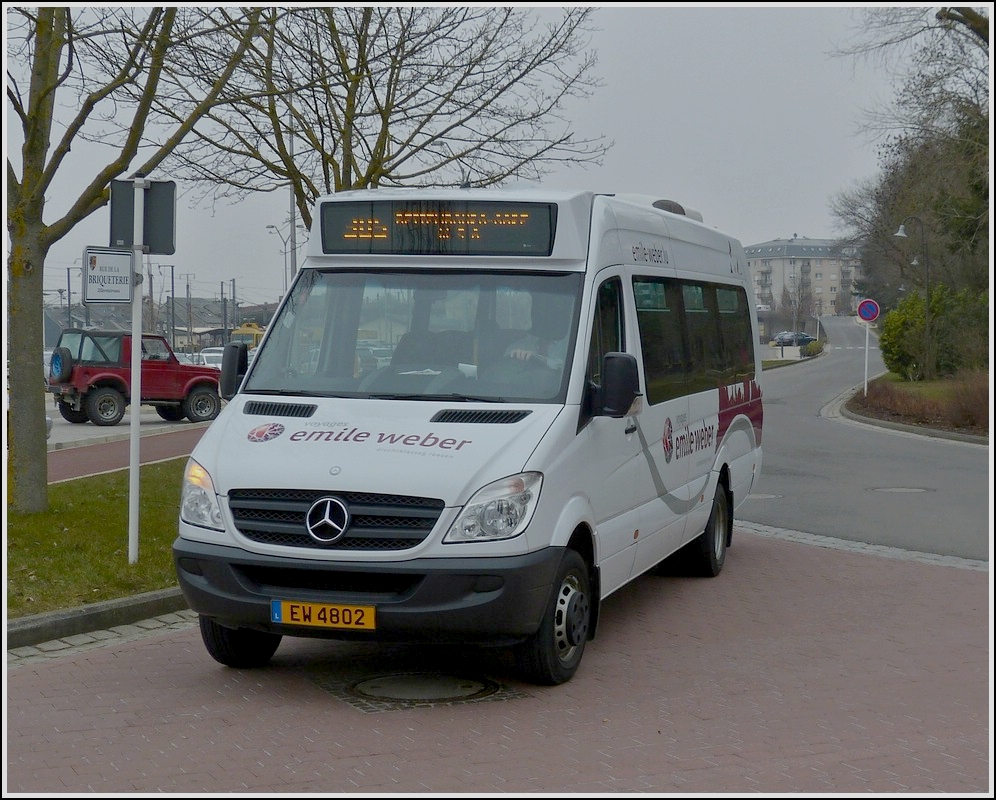EW 4802  Mercedes Benz Sprinter Minibus der Busunternehmens Emile Weber, unterwegs in den Straen von Bettemburg am 05.04.2013.