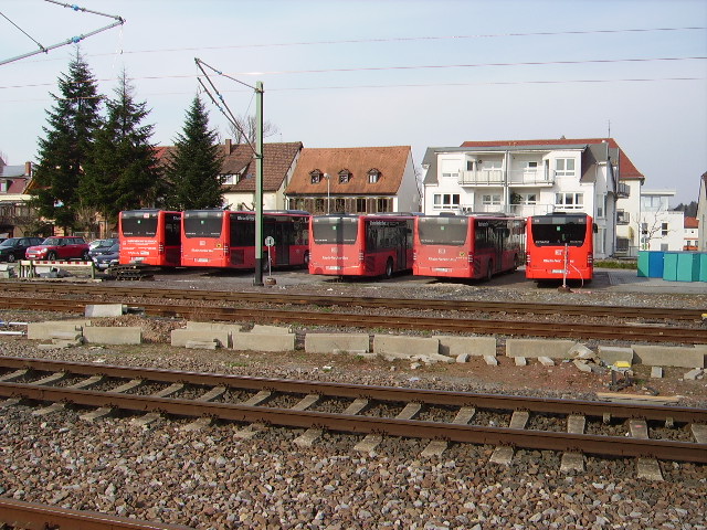 Fnf Mercedes Benz Citaro des DB Rhein Neckar Bus in Sinsheim Hbf am 14.03.09