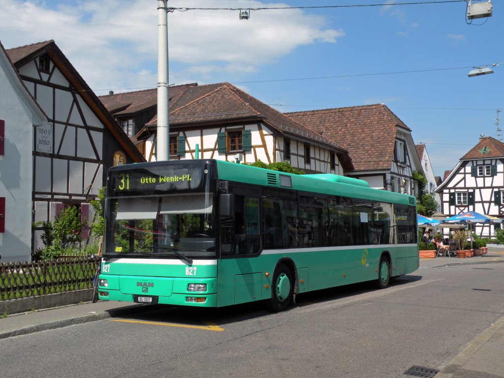 MAN Bus mit der Bertriebsnummer 827 auf der Linie 31 in Allschwil. Die Aufnahme stammt vom 26.05.2010.