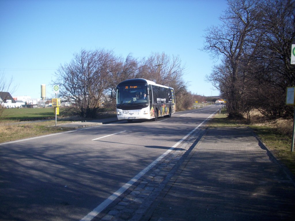 MAN Lion's Regio der RPNV in Sassnitz am 12.03.2012