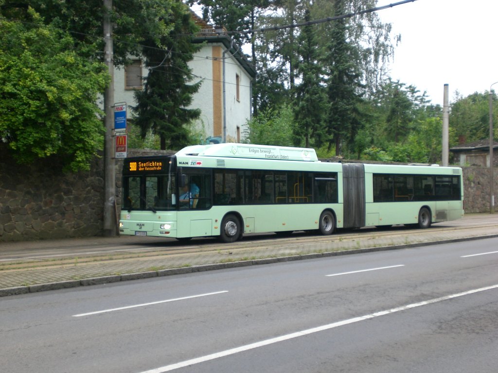 MAN Niederflurbus 2. Generation auf der Linie 980 nach Seefichten an der Haltestelle Messegelnde.