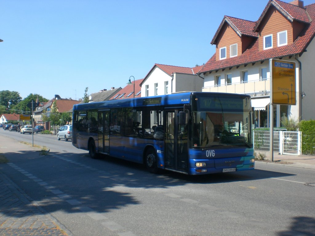 MAN Niederflurbus 2. Generation auf der Linie 107 nach Niederschnhausen Hermann-Hesse-Strae/Waldstrae an der Haltestelle Schildow Kirche.
