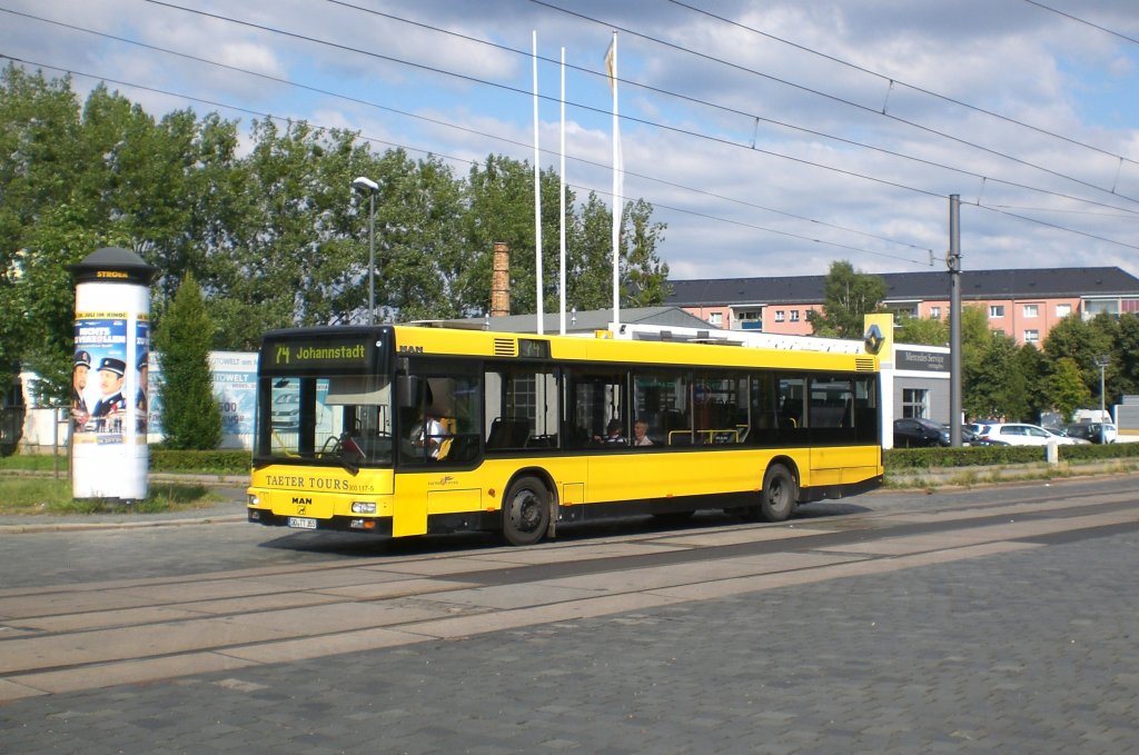 MAN Niederflurbus 2. Generation auf der Linie 74 nach Johannstadt an der Haltestelle nahe der Haltestelle Striesen West Spenerstrae.(24.7.2011)