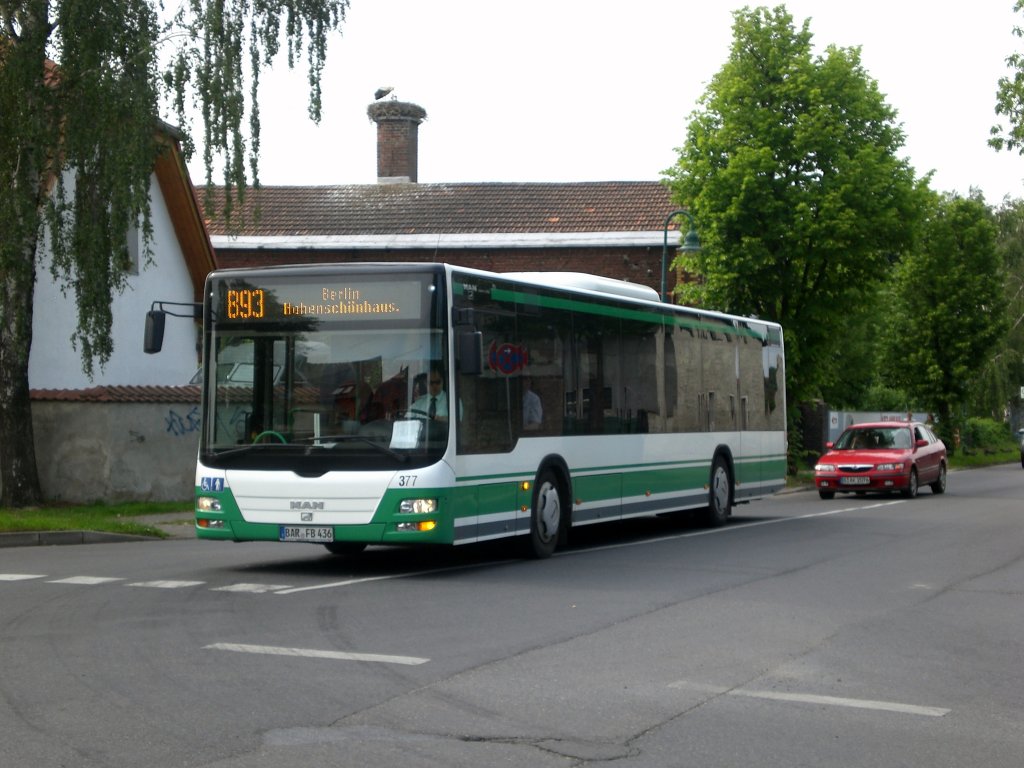 MAN Niederflurbus 3. Generation (Lions City /T) auf der Linie 893 nach Berlin Feldmannstrae an der Haltestelle Lindenberg Bernauer Strae.