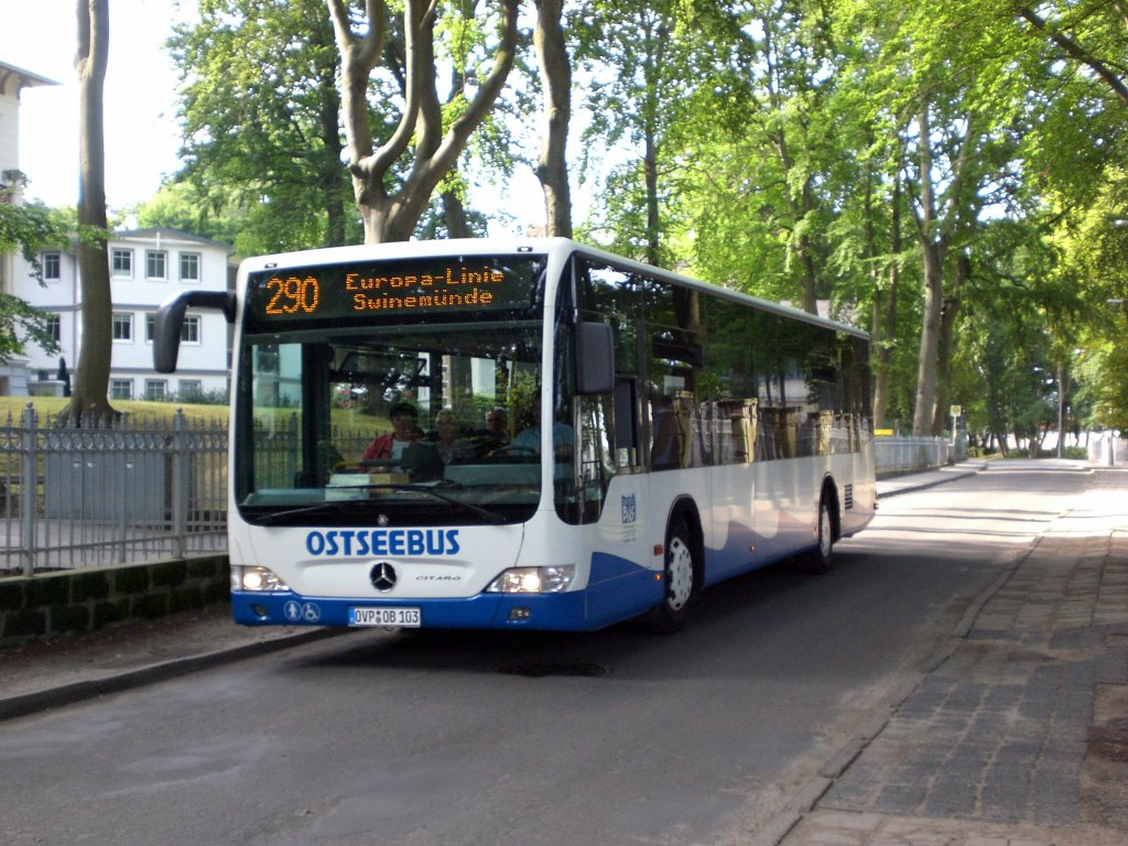 Mercedes-Benz O 530 II  (Citaro Facelift) auf der Linie 290 nach Świnoujście an der Haltestelle Heringsdorf Delbrckstrae.