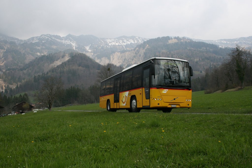 PU Flück, Brienz, Nr. 5 (BE 113'349, Volvo 8700LE, 2003) ist am 18.4.2010 unterwegs von Oberschwanden nach Hofstetten. 