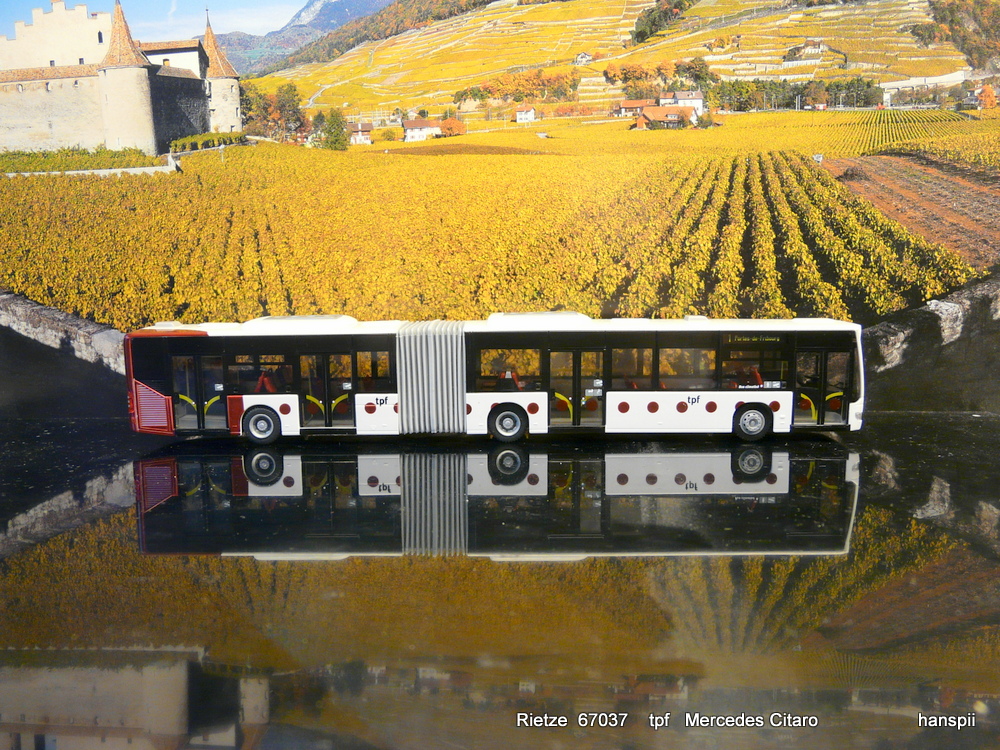 Rietze 67037  Mercedes Citaro  der tpf