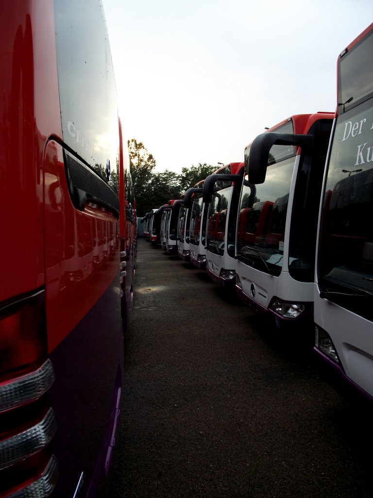 Sehr viele Mercedes Benz Citaro die noch nach Singapoure verschifft werden mssen am 20.07.11 in Mannheim bei Evo Bus 