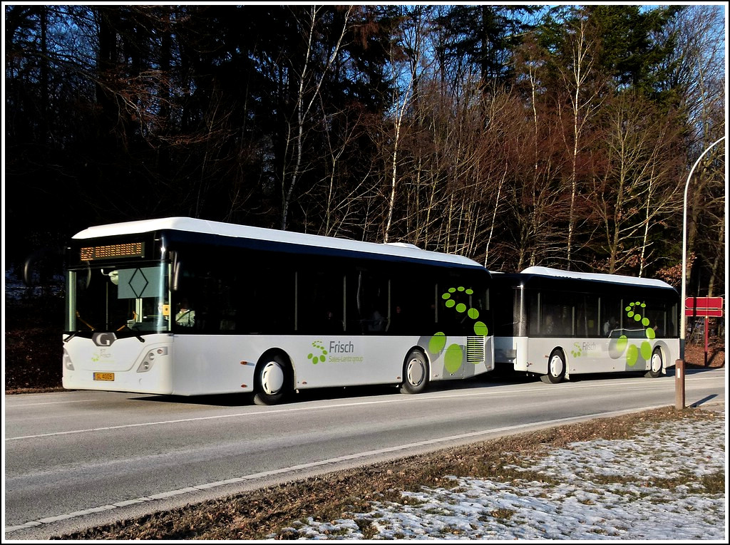 (SL 4009)  Am 10.02.2012 gelang es mir endlich diesen Bus der Marke Gppel Typ go4city10 mit Hnger der Firma Frisch auf dem Chip festzuhalten.