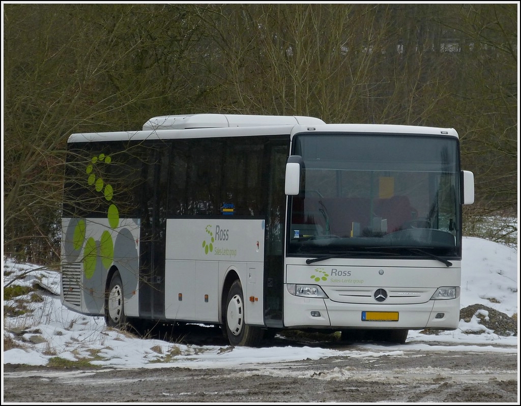 (SL 5004)  Mercedes Benz Integro der Busfirma Ross, abgestellt am Rande eines Parkplatzes nahe Wiltz am 02.03.2013.