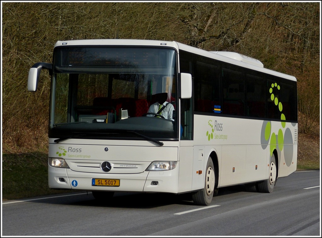 SL 5017  Mercedes Benz Integro des Busunternehmens Ross (Sales Lentz Group) unterwegs von Wiltz in Richtung Derenbach.  21.03.2013
