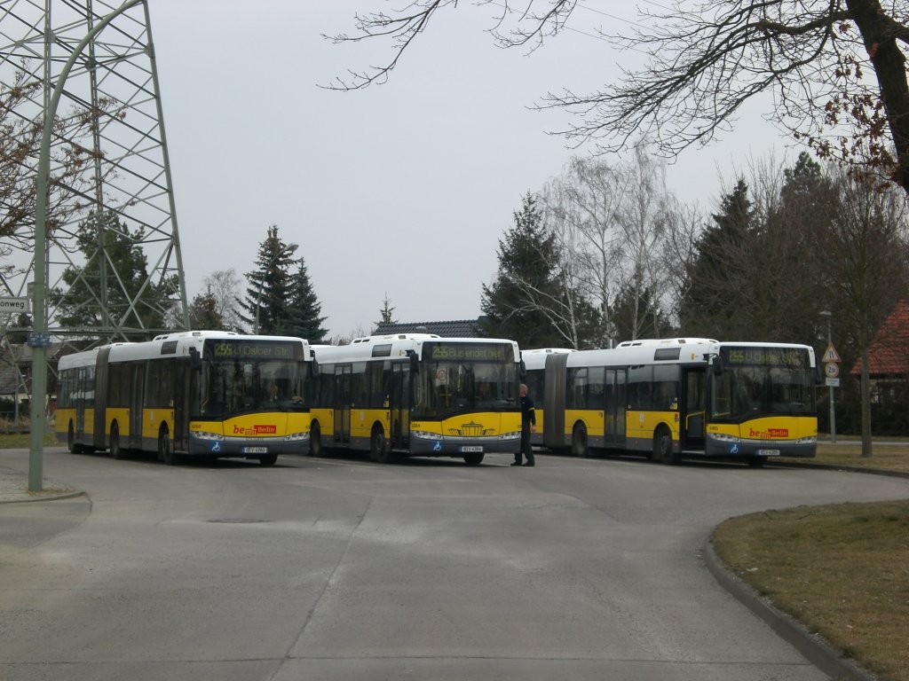 Solaris Urbino auf der Linie 255 nach U-Bahnhof Osloer Strae an der Haltestelle Weiensee Schwarzelfenweg.