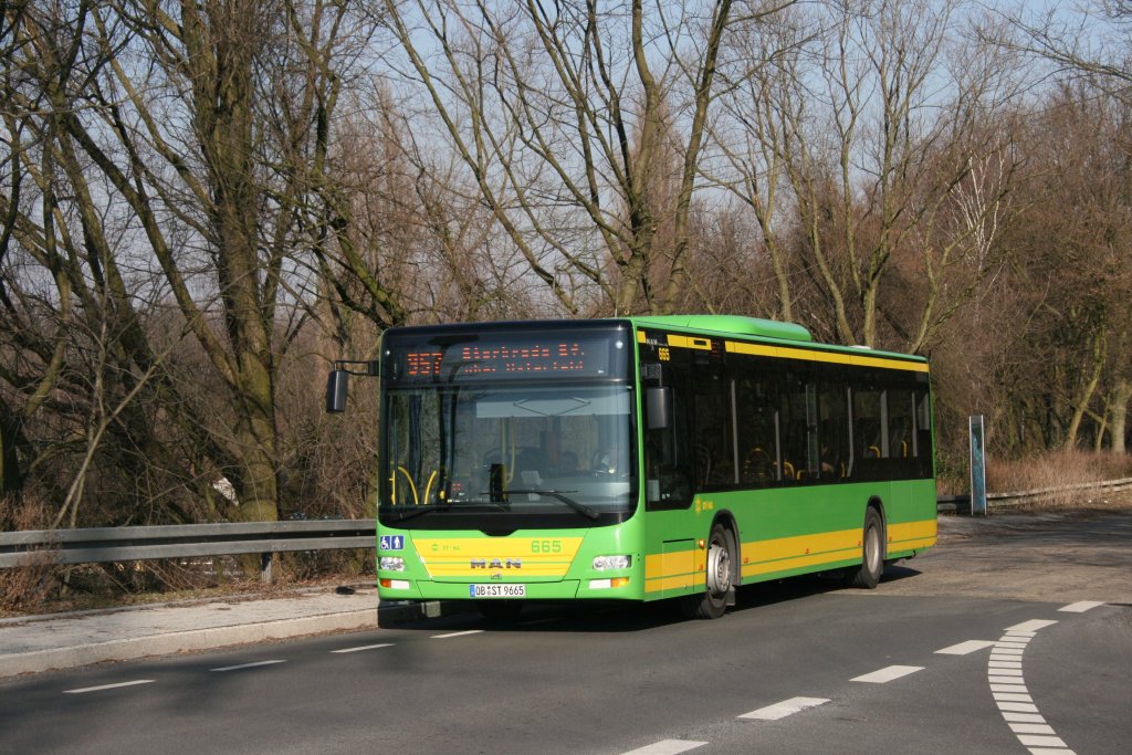 STOAG 665 (OB ST 9665) mit der Linie 957.
Aufgenommen auf der Ripshorsterstr. in Oberhausen am 9.3.2010.