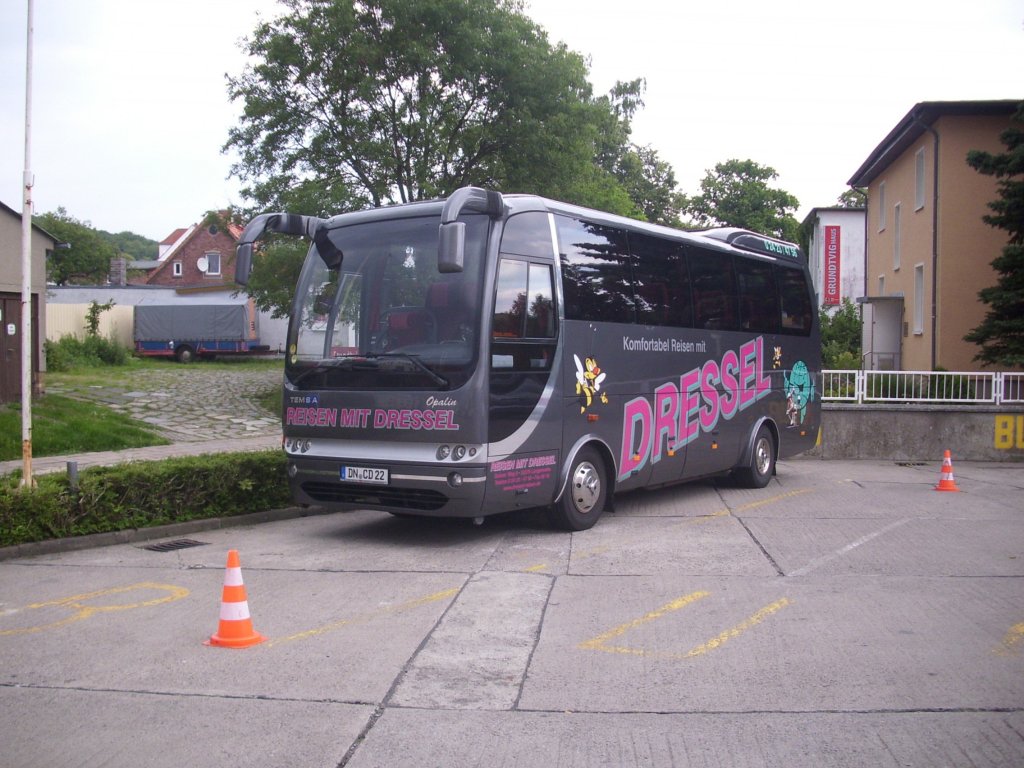 Temsa Opalin von Dressel aus Deutschland in Sassnitz am 09.07.2012

