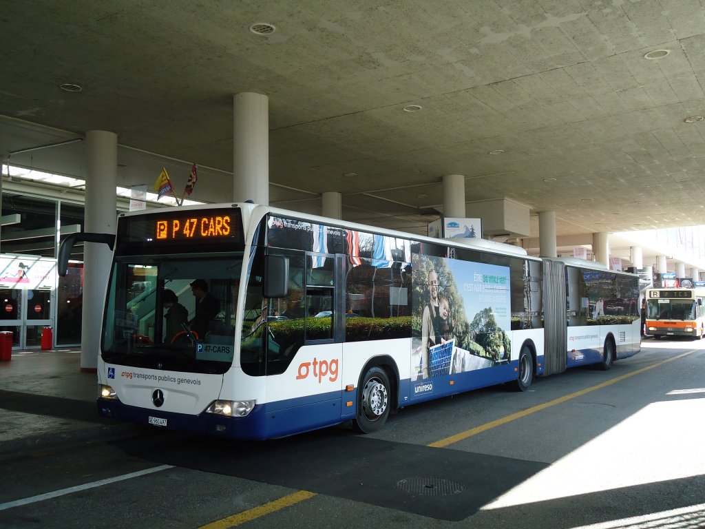 TPG Genve - Nr. 114/GE 960'497 - Mercedes Citaro am 10. Mrz 2011 in Genve, Palexpo