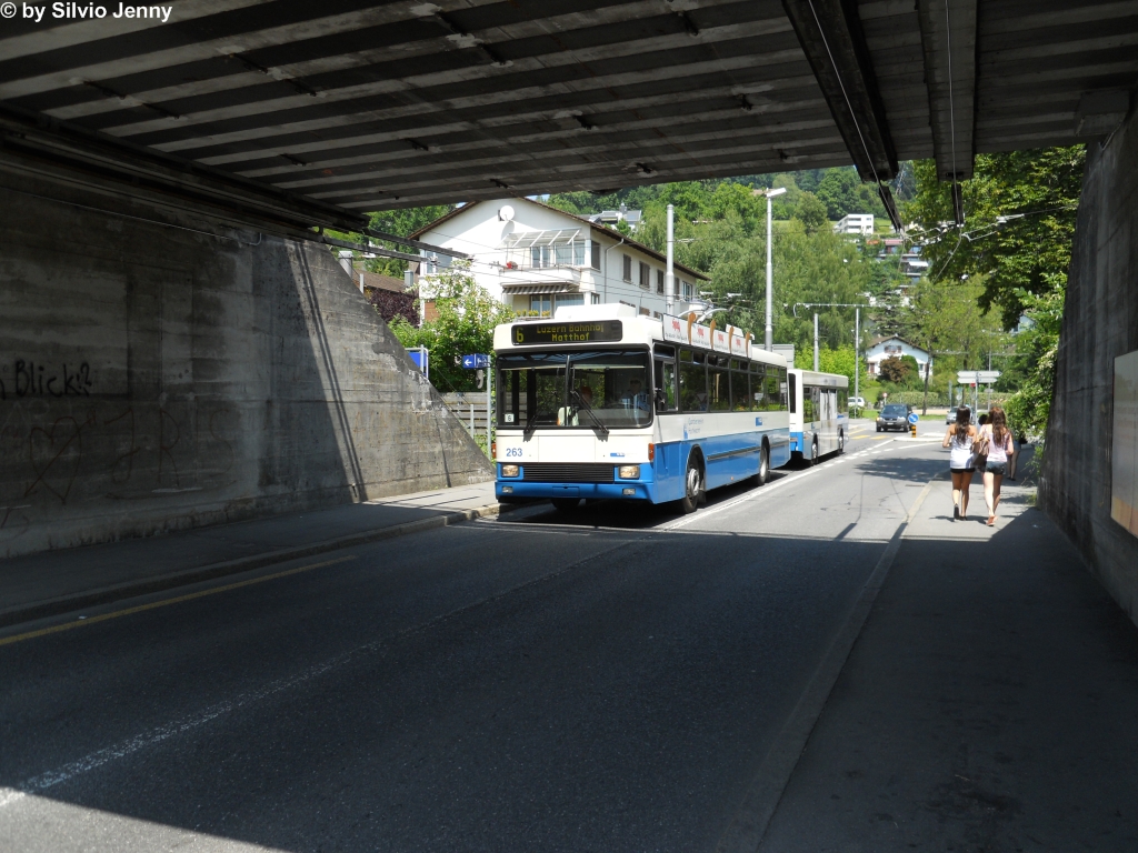 vbl Nr. 263+316 (NAW/Hess BT5-25 + Hess/Lanz&Marti) unterqueren am 5.7.2011 die Bahnlinie Luzern - Immensee zwischen den Haltestellen Brelstrasse und Verkehrshaus.