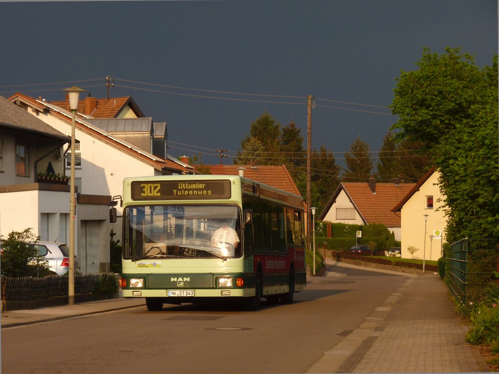 Vor der Kulisse dunkler Gewitterwolken prsentierte sich NVG-Wagen 243 am 26.4.11 auf der Linie 302. (Ottweiler Remmesweilerweg)