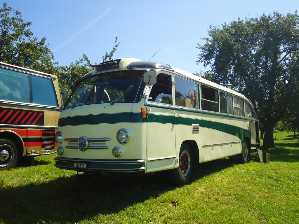 Wehrli, Thayngen - SH 875 - Saurer/Saurer (ex Rieser+Vetter, Frauenfeld) am 18. August 2012 in Affeltrangen, Kreuzegg