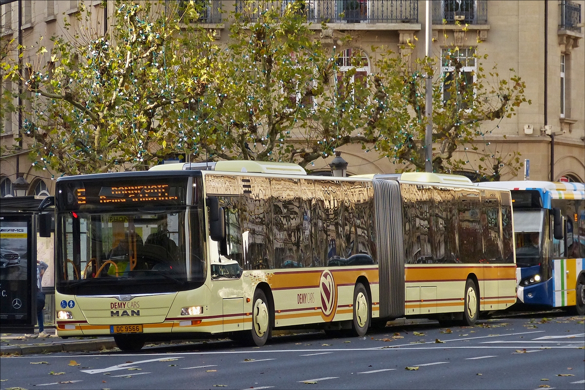 . DC 9566, MAN Lion's City Gelenkbus von Demy Cars, aufgenommen in der Stadt Luxemburg am 09.11.2015. 