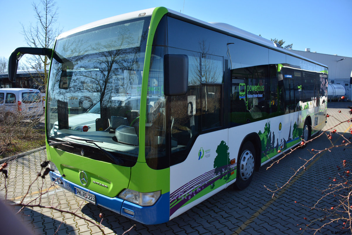 16.02.2019 | Werder / Havel (Brandenburg) | regiobus PM | PM-RB 223 | Mercedes Benz Citaro I Facelift K Ü |