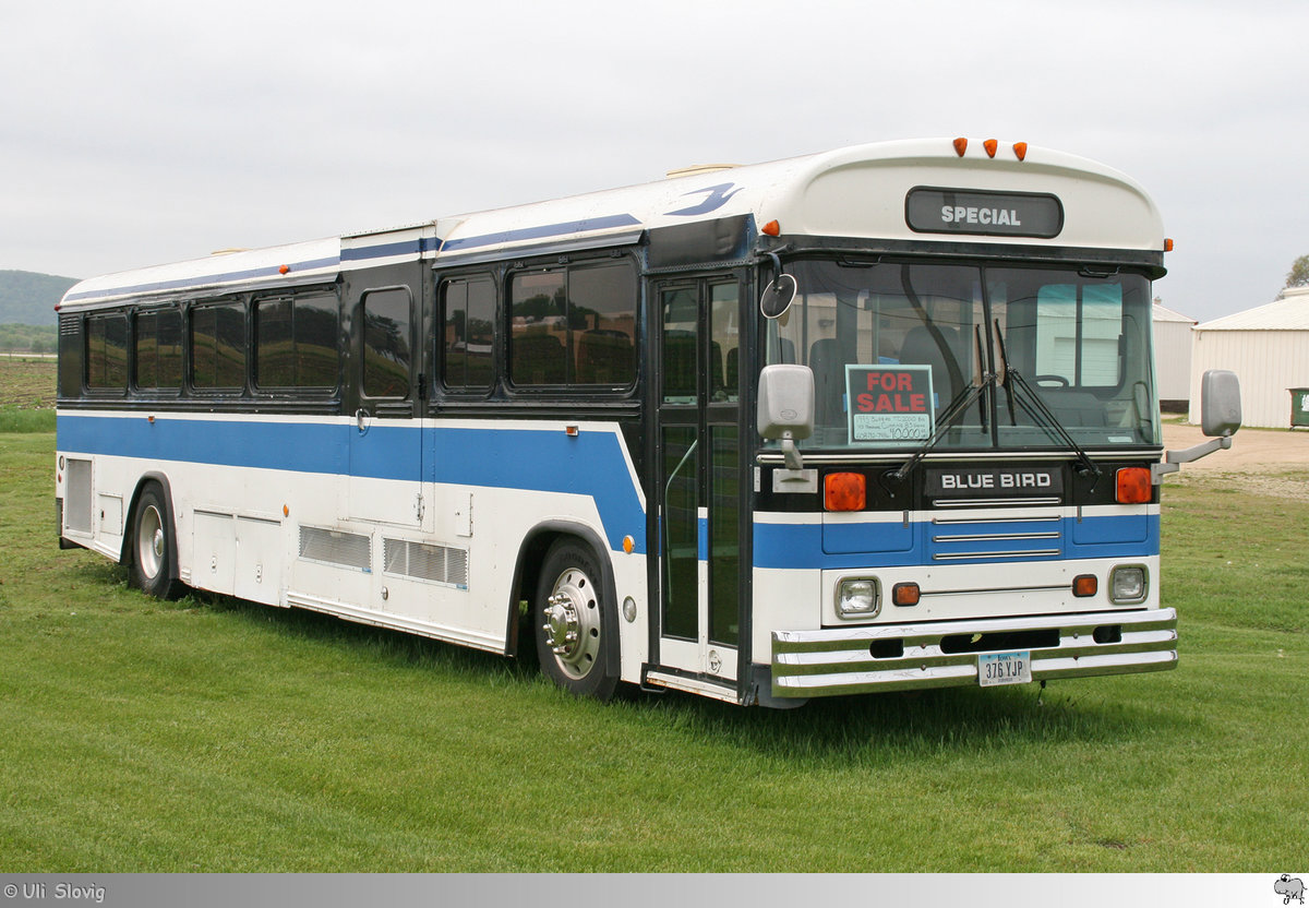 1995er Blue Bird TC 2000, aufgenommen am 11. Mai 2016 in Prairie du Chien, Wisconsin / USA.