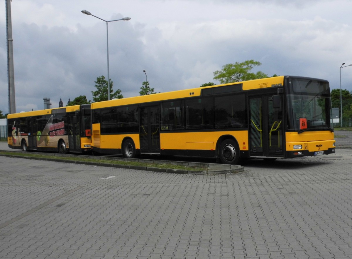 2 MAN NL 263 von Fa.Pötzsch, Dresden-Gruna am 20.06.15