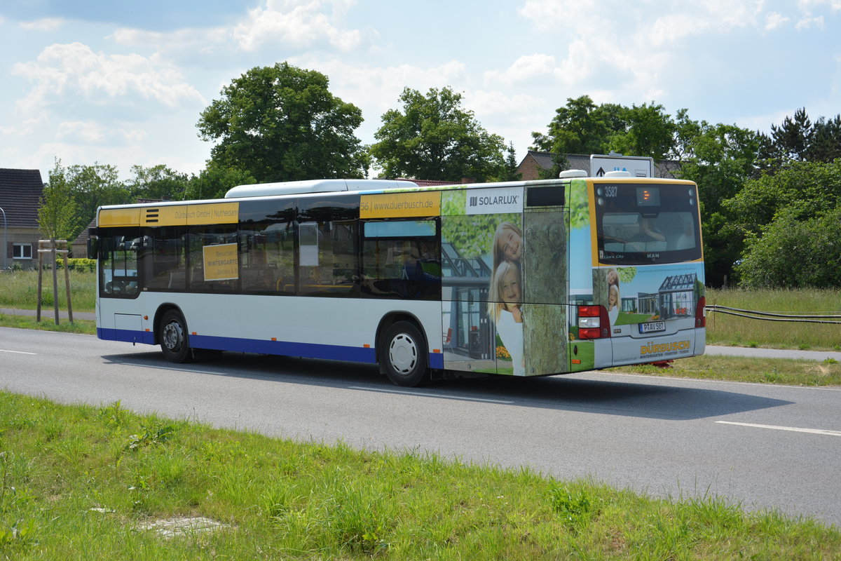 Am 04.06.2016 fährt P-AV 587 auf der ILA-Sonderlinie L zwischen S-Bahnhof Schichauweg und dem ILA-Gelände. Aufgenommen wurde ein MAN Lion's City der BVSG.