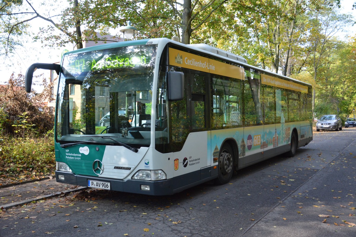 Am 15.10.2014 steht P-AV 906 (Mercedes Benz O530) in der Neukladower Allee in Berlin.
