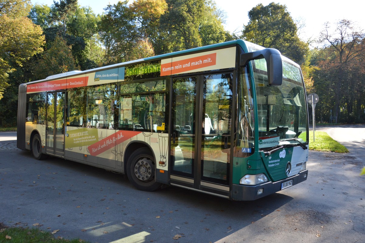 Am 19.10.2014 steht P-AV 947 an der Haltestelle Potsdam Neues Palais. Aufgenommen wurde Mercedes Benz O530.
