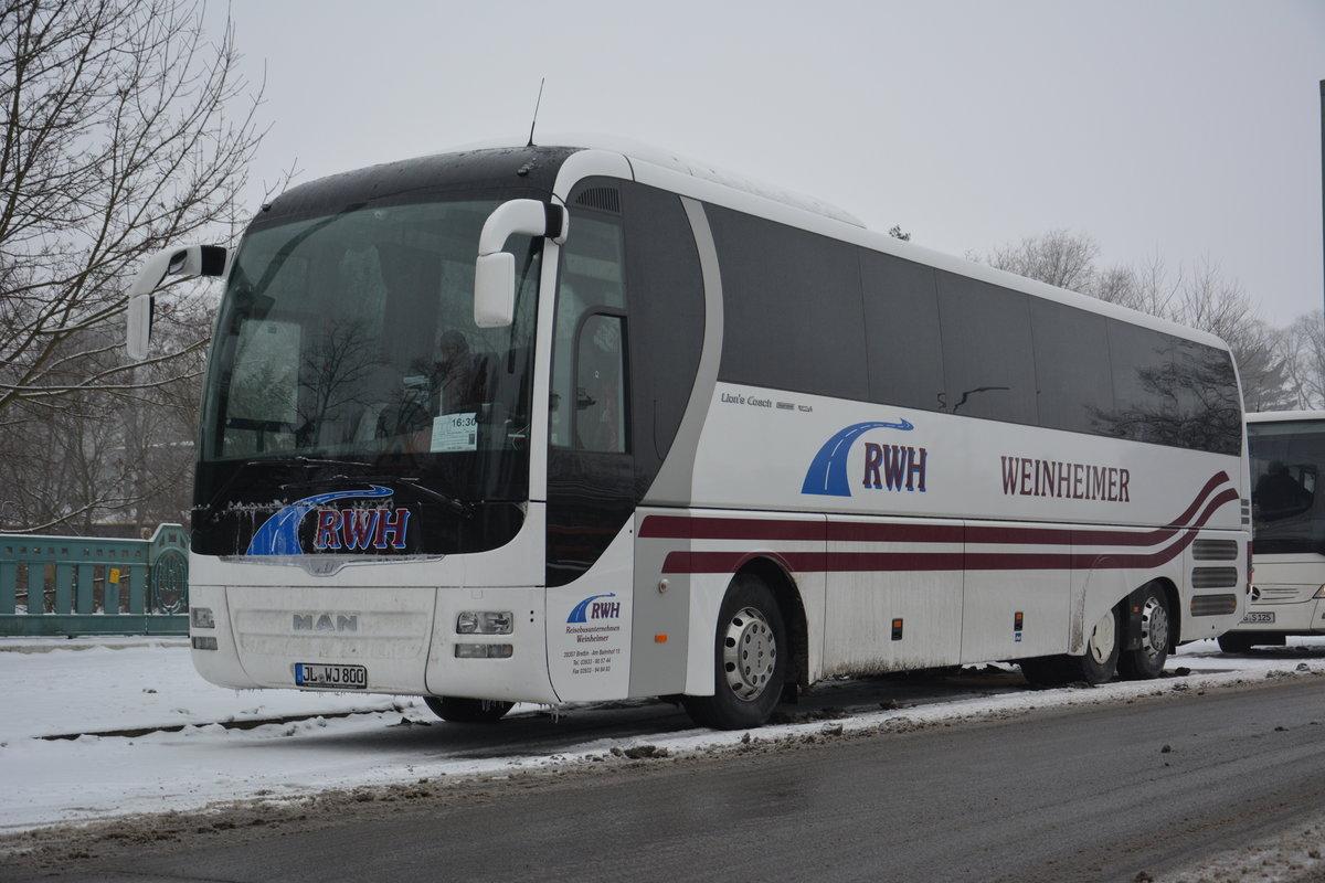 Am 23.01.2016 steht JL-WJ 800 (MAN Lion's Coach / RWH Reisebusunternehmen Weinheimer) an der Flatowallee in Berlin.
