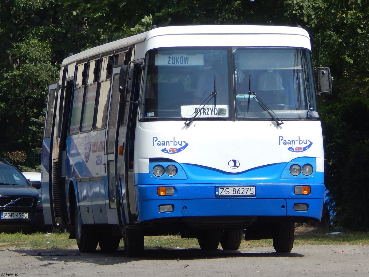Autosan H9-21 von Paan-Bus aus Polen in Stettin am 08.08.2018