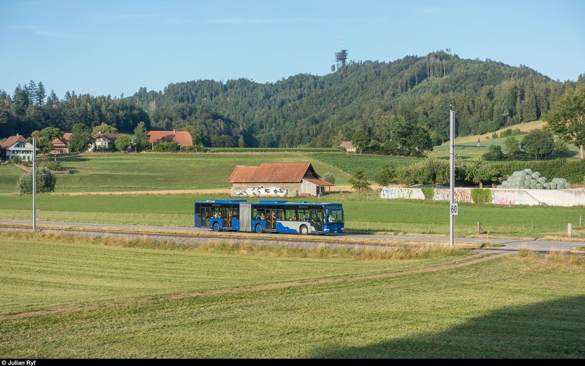 Bahnersatz wegen Bauarbeiten Köniz - Schwarzenburg.<br>
Citaro ex VZO 51 am 16. Juli 2019 zwischen Gasel und Niederscherli. Im Hintergrund der Ulmizberg.