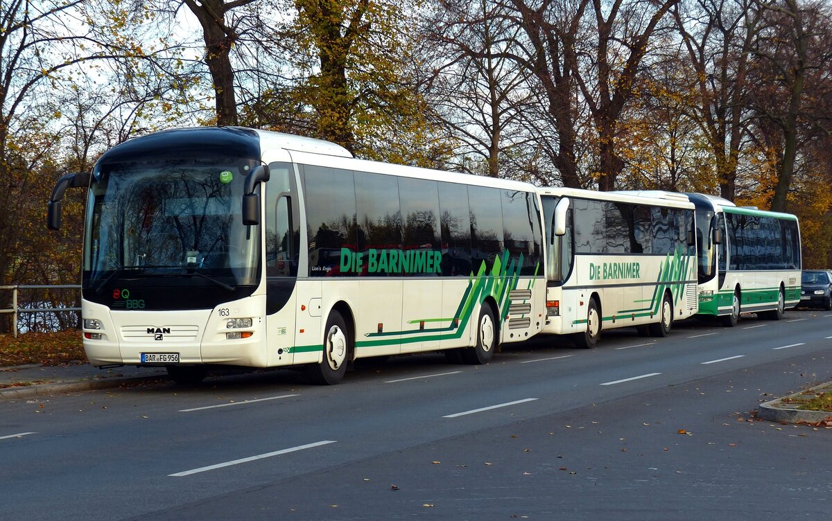 Barnimer Busgesellschaft-BBG, angeführt vom MAN Lion's Regio ÜL324, #163, Berlin, bereits im November 2014.