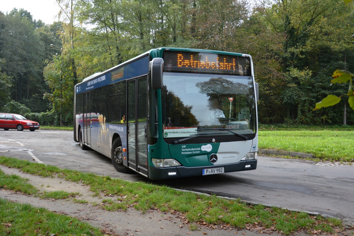 Beim wenden in der Schleife geknipst. P-AV 982 (Mercedes Benz O530) am 18.10.2014 Potsdam, Neues Palais.