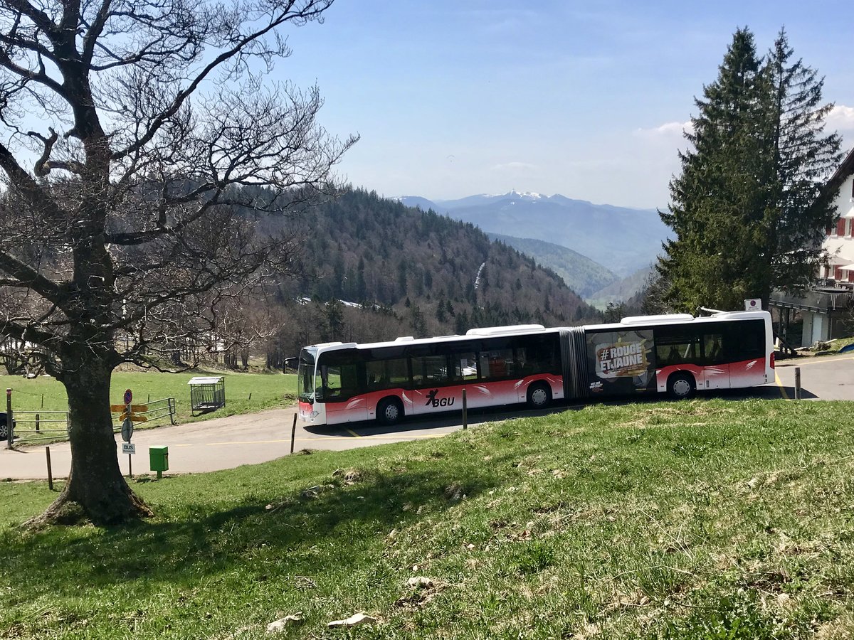 BGU C2 Gelenkbus Nr. 8 am 21.4.18 beim Unteren Grenchenberg.