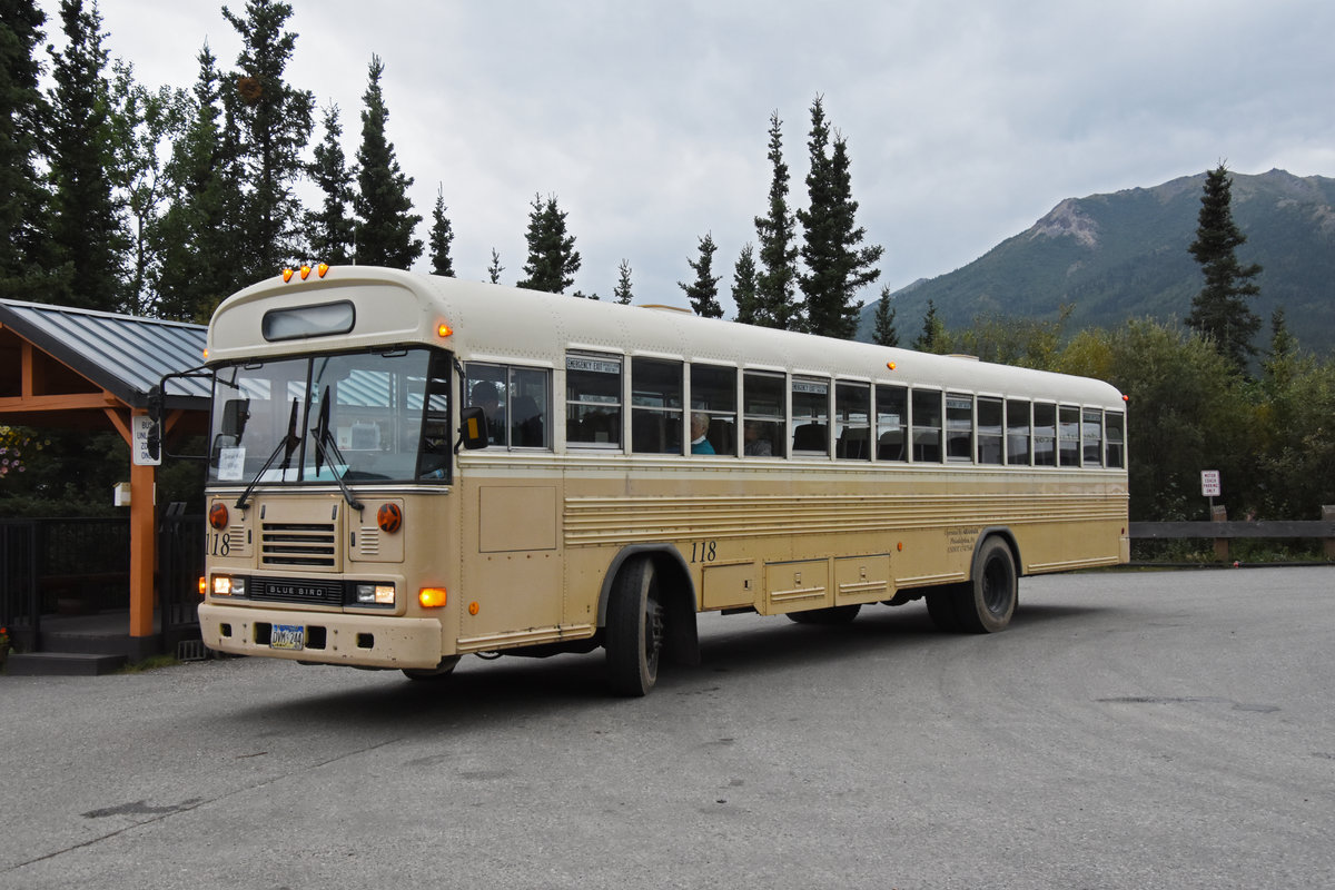 Blue Bird Autobus 118 unterwegs im Denali Nationalpark. Die Aufnahme stammt vom 15.08.2019.