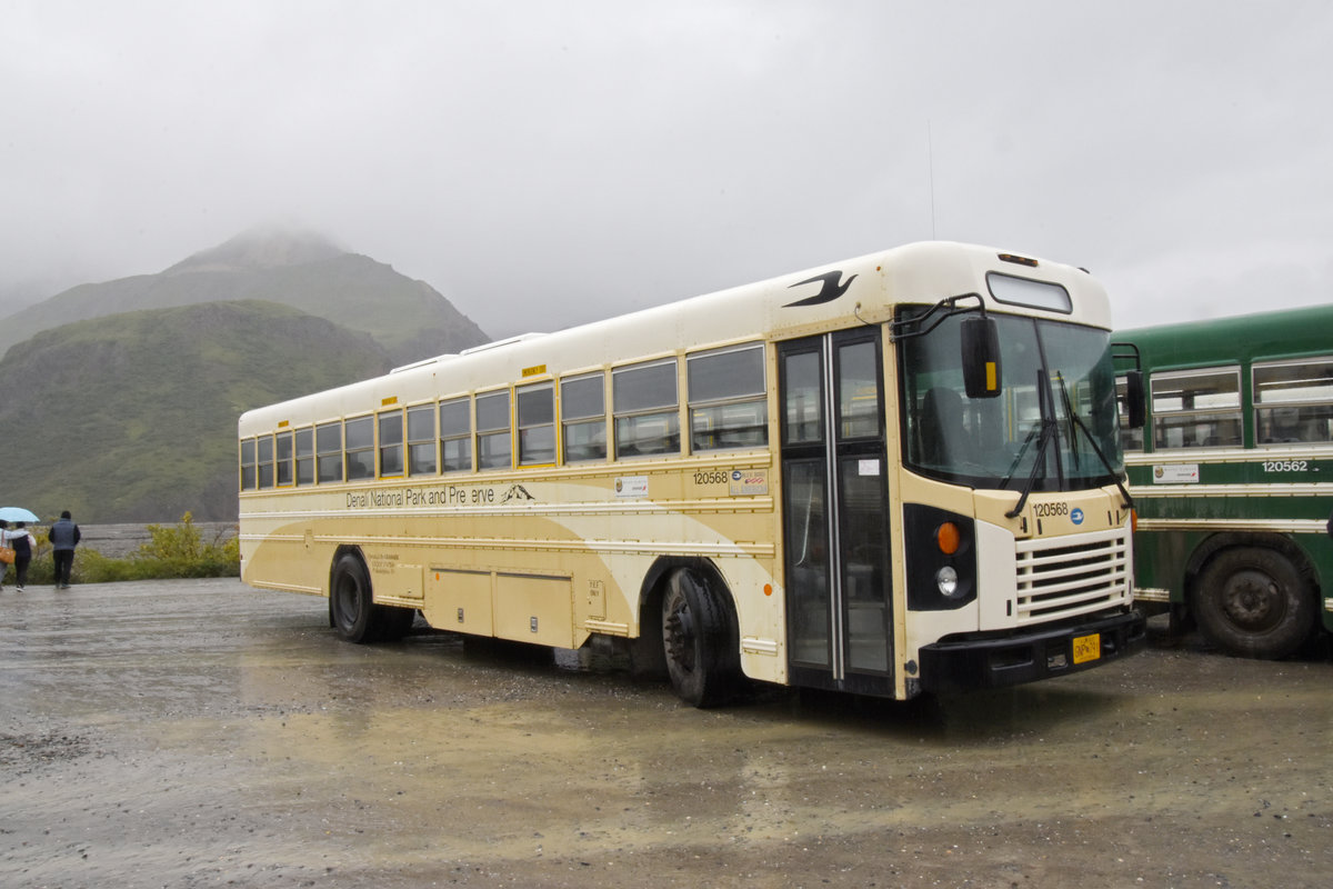Blue Bird Autobus 120 568 auf einem Rastplatz im Denali Nationalpark. Die Aufnahme stammt vom 15.08.2019.