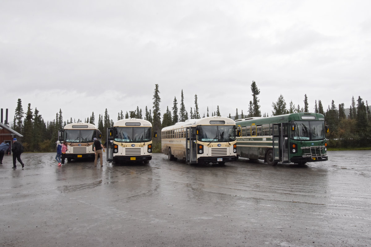 Blue Bird Autobuse stehen von links: 180 476, 160 001, 160 262 und 120 562 auf einem Rastplatz im Denali Nationalpark. Die Aufnahme stammt vom 15.08.2019.