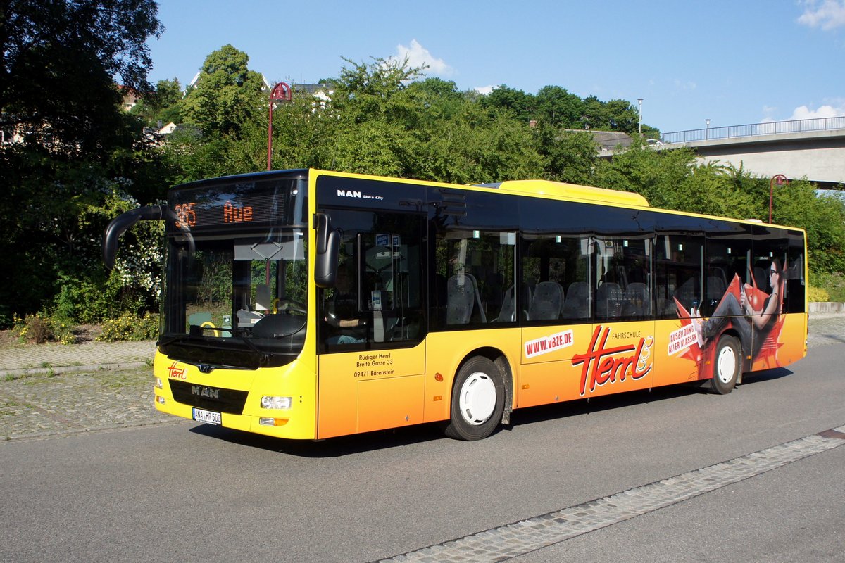 Bus Aue / Bus Erzgebirge: MAN Lion's City  der Fahrschule Herrl (Verkehrsbildungszentrum Erzgebirge), aufgenommen im Juni 2020 am Bahnhof von Aue (Sachsen).