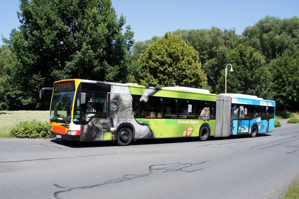 Bus Rheinland-Pfalz / Bus Dierdorf: Mercedes-Benz Citaro Facelift G (ehemals Hamburger Hochbahn AG) der KVG Zickenheiner (Zickenheiner-Gruppe), aufgenommen im Juni 2020 im Stadtgebiet von Dierdorf (Landkreis Neuwied).