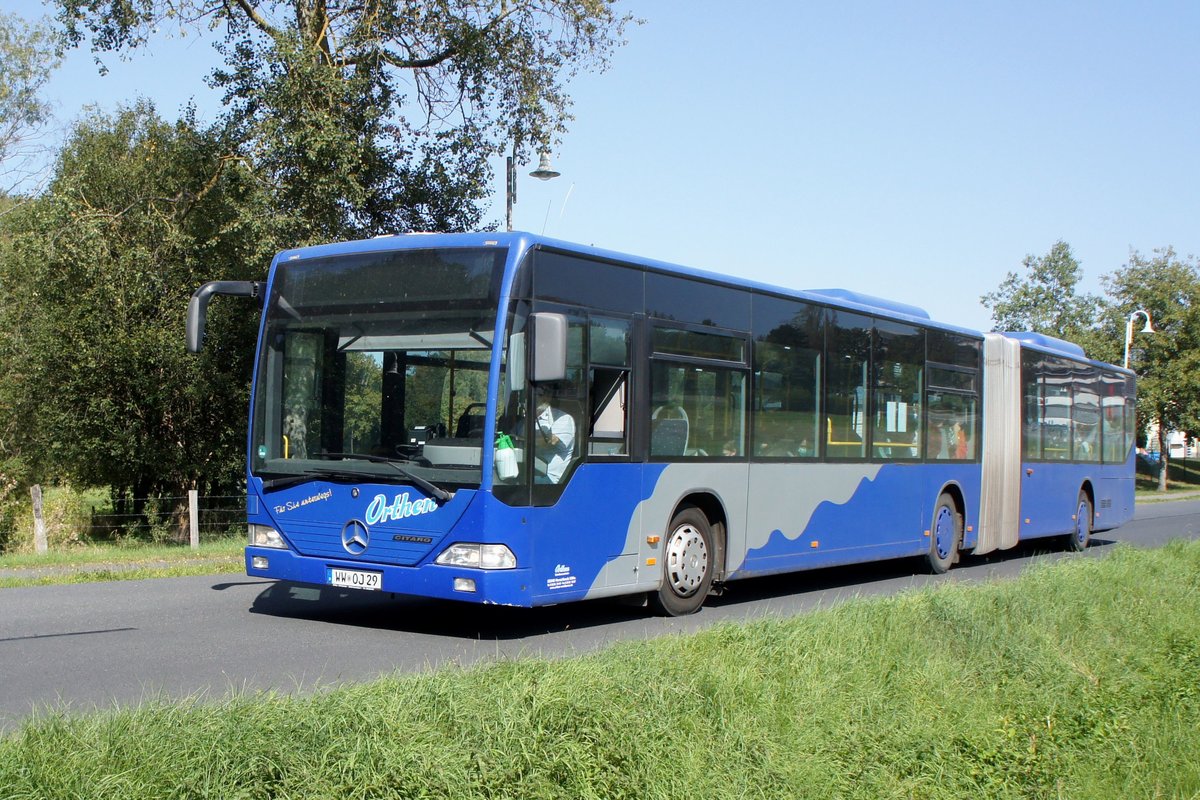 Bus Rheinland-Pfalz / Bus Dierdorf: Mercedes-Benz Citaro G (WW-OJ 29, ehemals VZO - Verkehrsbetriebe Zürichsee und Oberland AG) vom Busunternehmen Jörg Orthen GmbH, aufgenommen im September 2020 im Stadtgebiet von Dierdorf (Landkreis Neuwied).