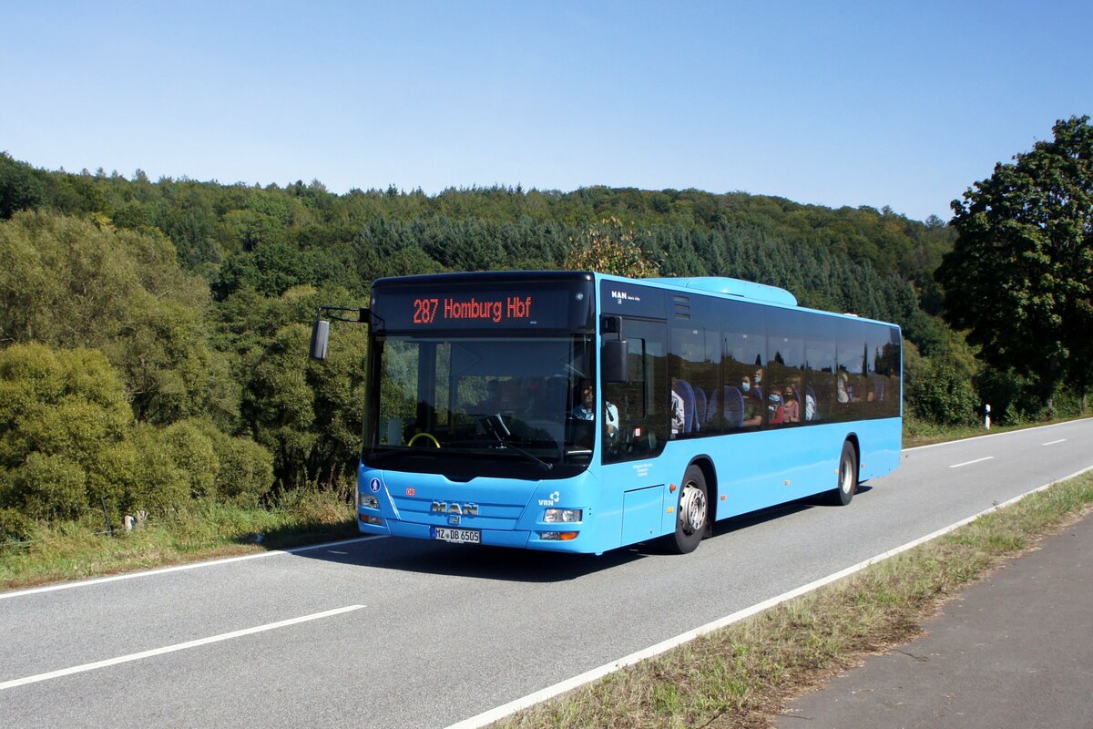 Bus Rheinland-Pfalz: MAN Lion's City Ü (MZ-DB 6505) der DB Regio Bus Mitte GmbH, aufgenommen im September 2021 in der Nähe von Schmittweiler, einem Ortsteil der im rheinland-pfälzischen Landkreis Kusel liegenden Ortsgemeinde Schönenberg-Kübelberg.
