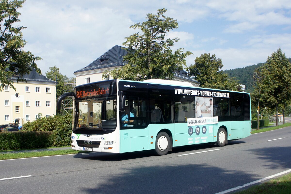 Bus Schwarzenberg / Bus Erzgebirge: MAN Lion's City M (ERZ-RV 231) der RVE (Regionalverkehr Erzgebirge GmbH), aufgenommen im August 2023 im Stadtgebiet von Schwarzenberg / Erzgebirge.