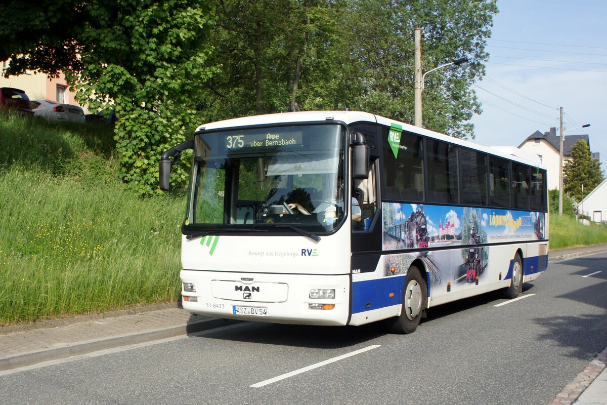 Bus Schwarzenberg / Bus Grünhain-Beierfeld / Bus Erzgebirge: MAN ÜL (ASZ-BV 54) der RVE (Regionalverkehr Erzgebirge GmbH), aufgenommen im Juni 2021 im Stadtgebiet von Grünhain-Beierfeld.