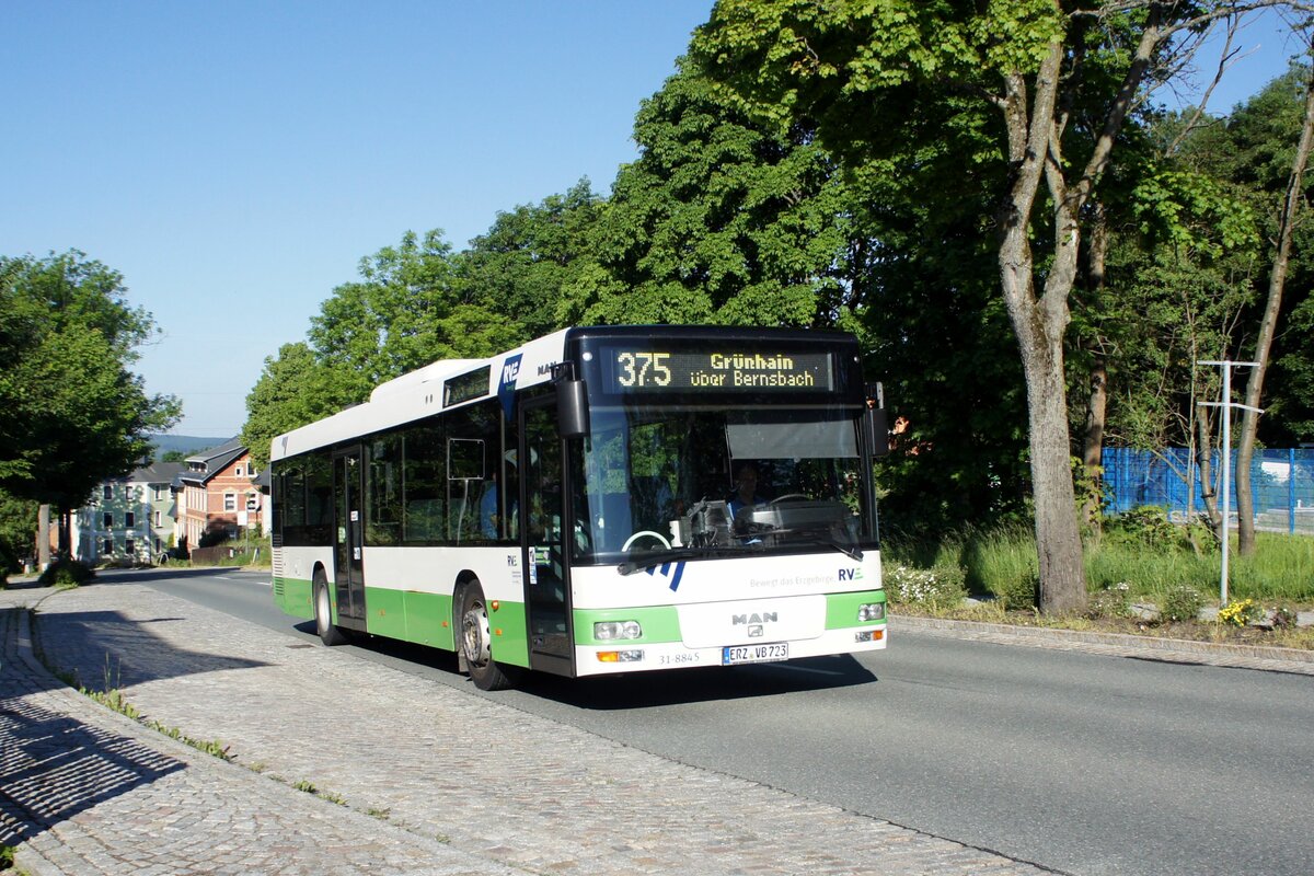 Bus Schwarzenberg / Bus Grünhain-Beierfeld / Bus Erzgebirge: MAN NÜ (ERZ-VB 723) der RVE (Regionalverkehr Erzgebirge GmbH), aufgenommen im Juni 2021 im Stadtgebiet von Grünhain-Beierfeld.