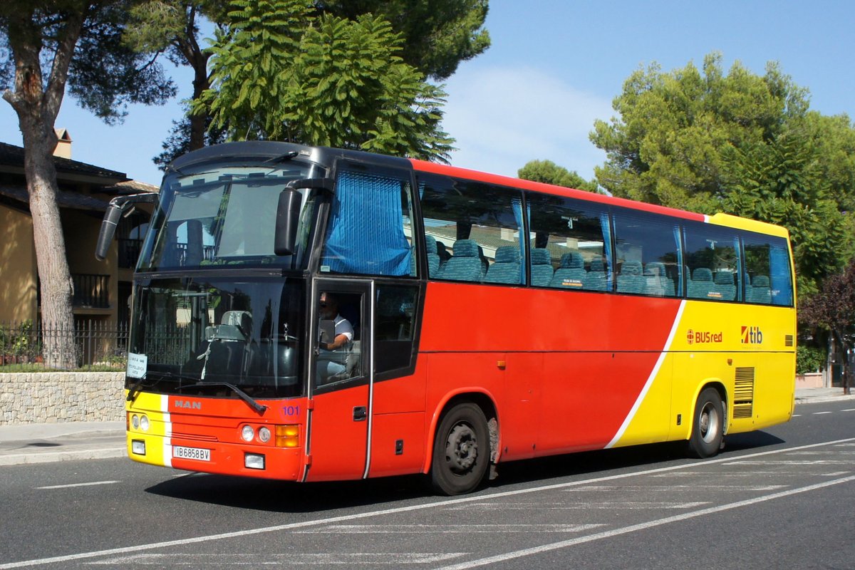 Bus Spanien / Bus Mallorca: MAN / Noge von BUS red / TIB - Transports de les Illes Balears (Wagen 101), aufgenommen im Oktober 2019 im Stadtgebiet von Port d'Alcudia.