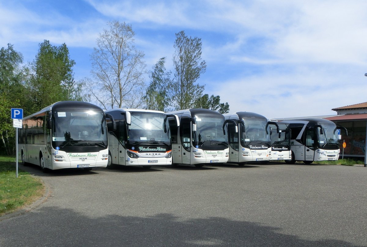 Busse der Firma Friedmann Reisen am 21.04.2020 in Bad Bergzabern