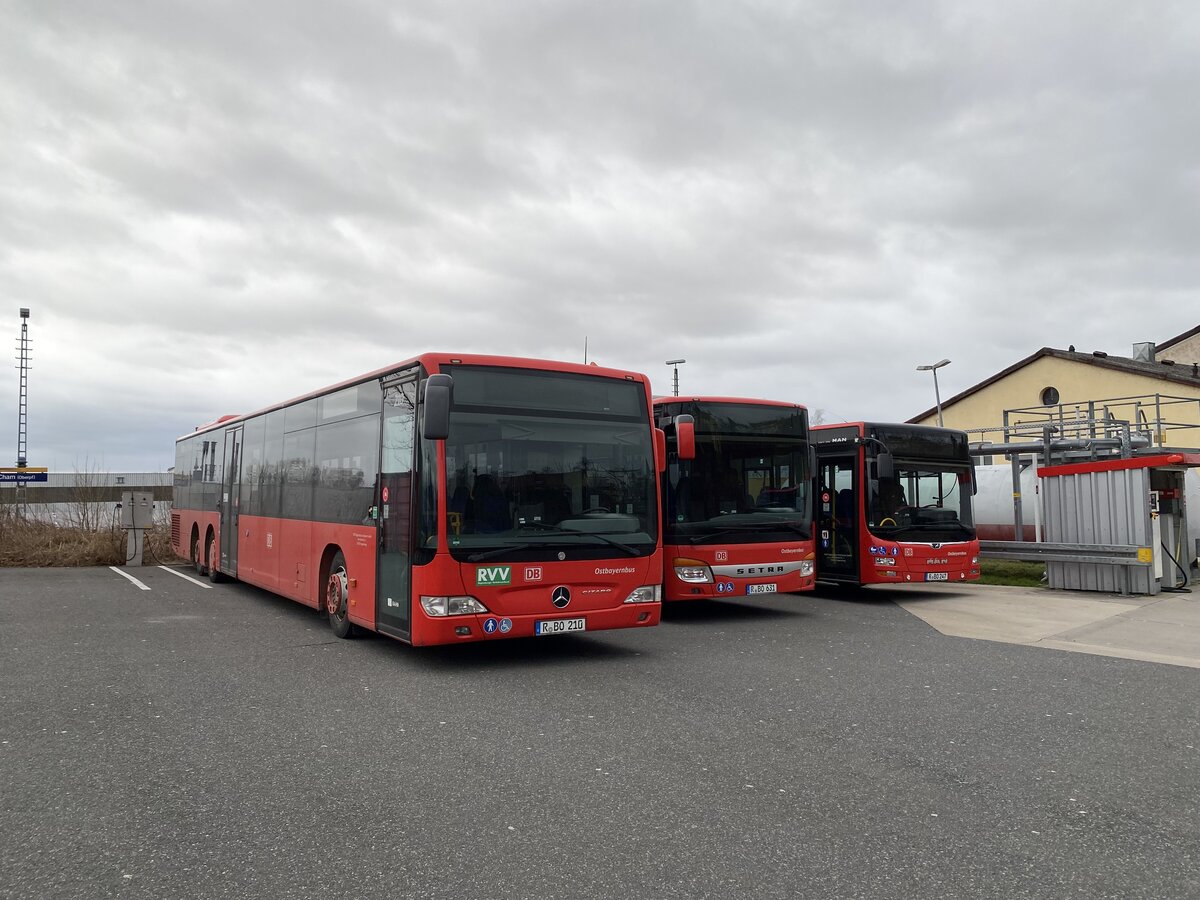 Busse der RBO (Regionalbus Ostbayern) am Standort Cham