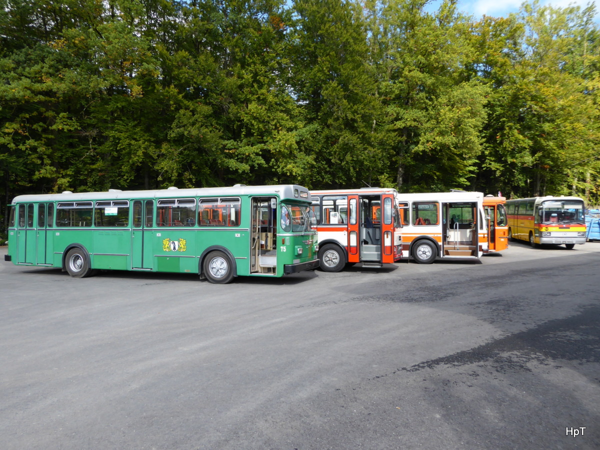 Bustag 2015 - Oldtimer FBW Nr.75 (ex BVB) in Burgdorf am 04.10.2015