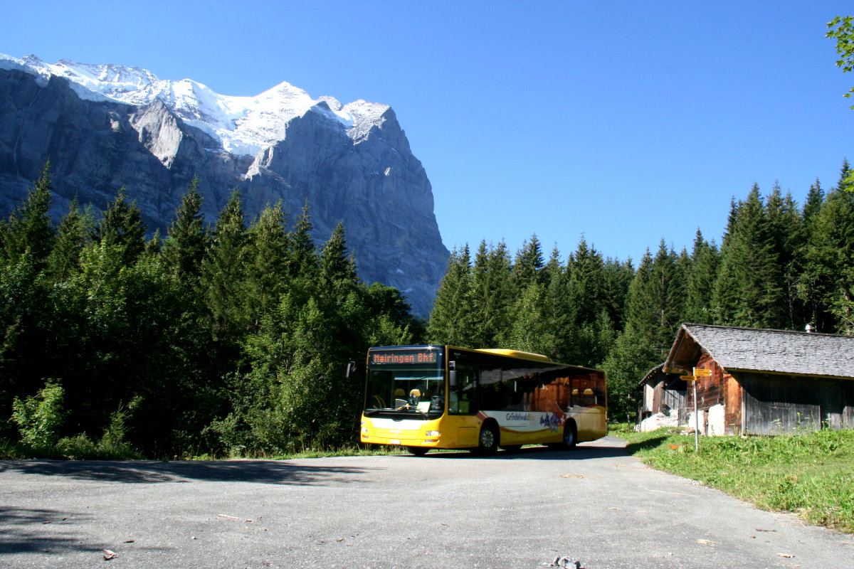 Da sich Grindelwald Bus und Postauto die Linie 60.164 teilen muss ich mal mit einem Grindelwald Bus vorlieb nehmen. zudem ist es logisch, dass der erste Kurs ab Grindelwald mit einem Grindelwald Bus betrieben wird. Ein MAN Lions City von Grindelwald Bus auf der Linie 11 Grindelwald - Schwarzwaldalp - Meiringen oberhalb der Schwarzwaldalp mit dem Rosenlauigletscher; 03.08.2015
